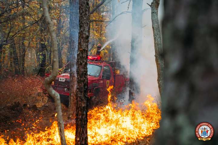 Second Marlton 14-Year-Old Charged With Arson In Wildfire That Threatened 15 Homes: Police