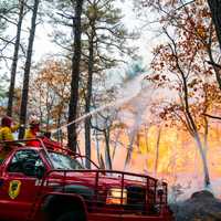 <p>A 40-acre wildfire that burned in Evesham Township, NJ, on October 30, 2024.</p>