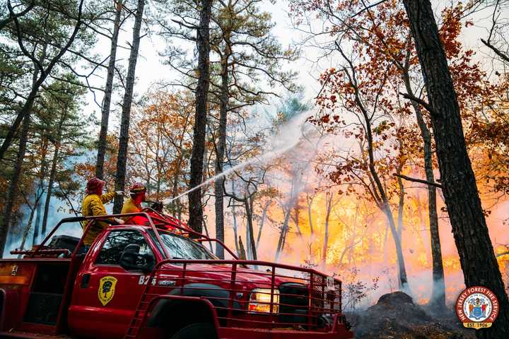 Teen Accused Of Arson In Wildfire That Threatened 15 South Jersey Homes, Police Say