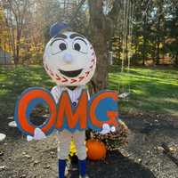 <p>Ben, 7, of Montvale as Mr. Met.</p>