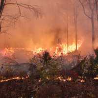 <p>At the Rockaway Township wildfire.</p>