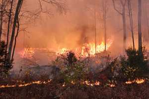 'Be Better Dude:' Fed-Up NJ Resident Calls Out Lincoln Park Smoker Amid NJ Wildfires