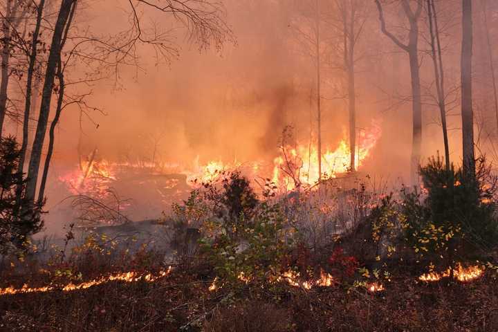 140-Acre Wildfire Possibly Sparked By Halloween Fireworks Continues To Rage In Rockaway