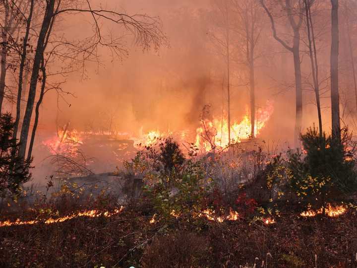 At the Rockaway Township wildfire.