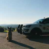 Beloved K9 Who Served With 'Gentlemanly Attitude' In Hudson Valley Dies