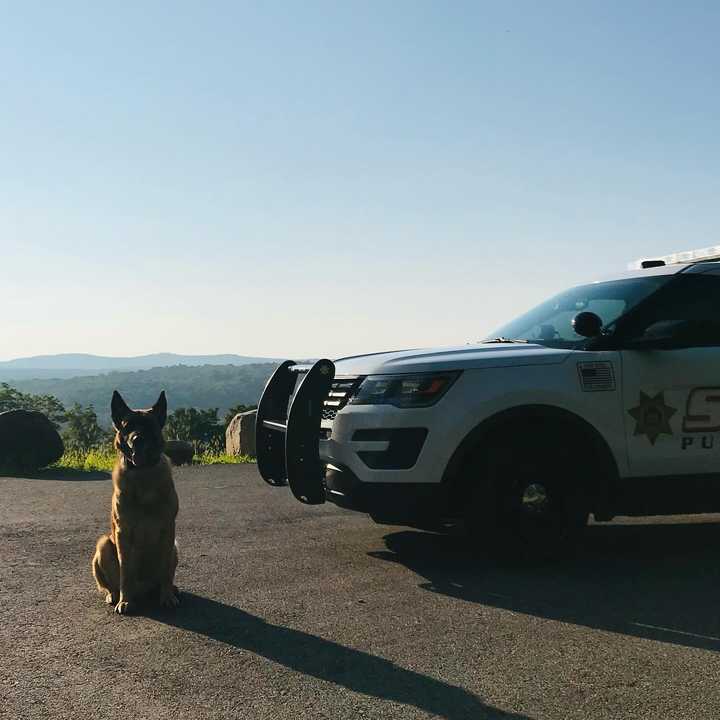 K9 Satch of the Putnam County Sheriff's Office.