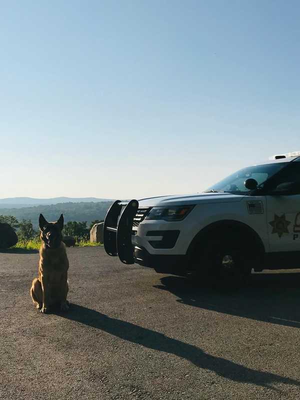 Beloved K9 Who Served With 'Gentlemanly Attitude' In Hudson Valley  Dies