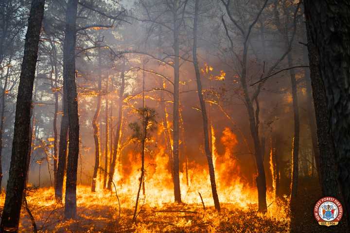 'Apocalyptic:' Smoke From Glassboro Wildfire Triggers 911 Calls, Sets Off CO Alarms