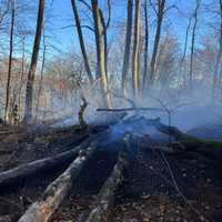 Downed Power Line To Blame For Massive Two-Alarm Brush Fire In Harford County Woods