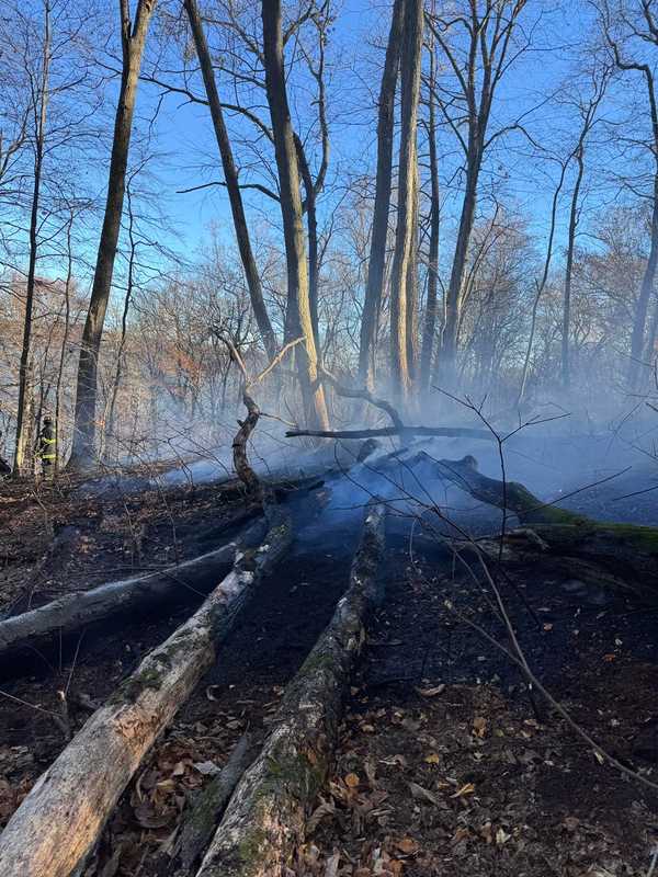 Downed Power Line To Blame For Massive Two-Alarm Brush Fire In Northern Maryland Woods (VIDEO)