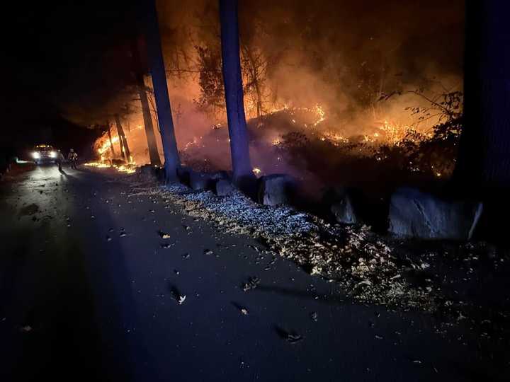 Brush fire on the Palisades.