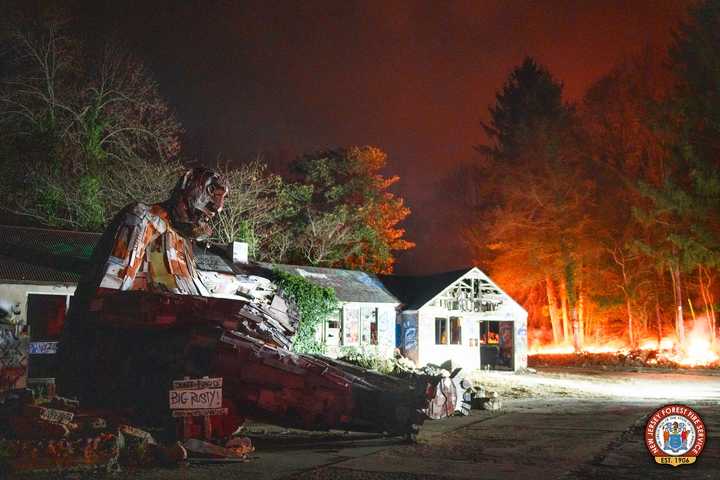 At the Burlington County forest fire.