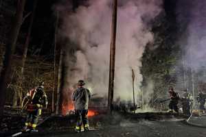 Car Slams Into Tree, Bursts Into Flames In Westchester