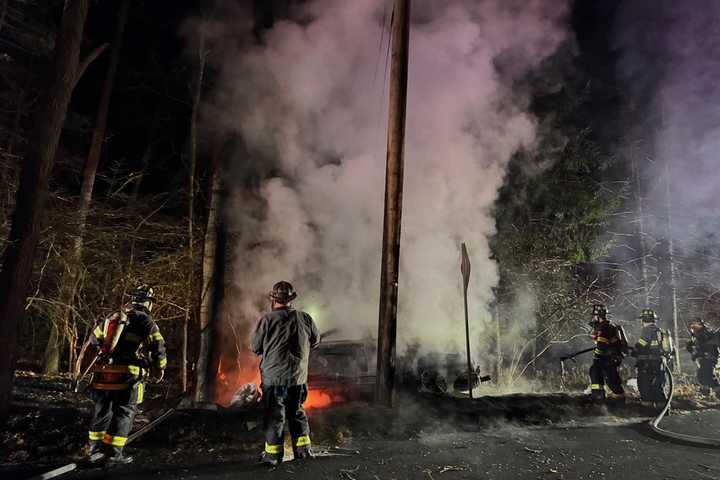 Car Slams Into Tree, Bursts Into Flames In Bedford