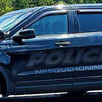 Whitehall Driver Killed After Crashing Into Tree Stump Near State Game Lands: Coroner