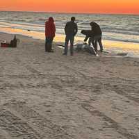 Whale Washes Up On Sunset Beach In Lower Township