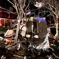 <p>Part of the food truck stuck in a tree following the explosion. </p>