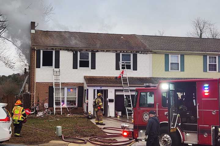 Dog Rescued After Fire Tears Through Townhome In Gloucester Township, Firefighters Say