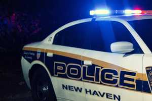 25-Year-Old Woman Killed After Hitting Speed Bump, Tree In New Haven, Police Say
