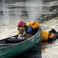 Firefighters Rescue Dog Who Fell Through Ice, Swam 75 Off Shore In Bergen County (PHOTOS)