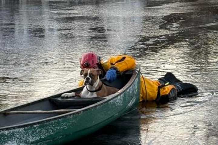 Firefighters Rescue Dog Who Fell Through Ice, Swam 75 Off Shore In Franklin Lakes (PHOTOS)