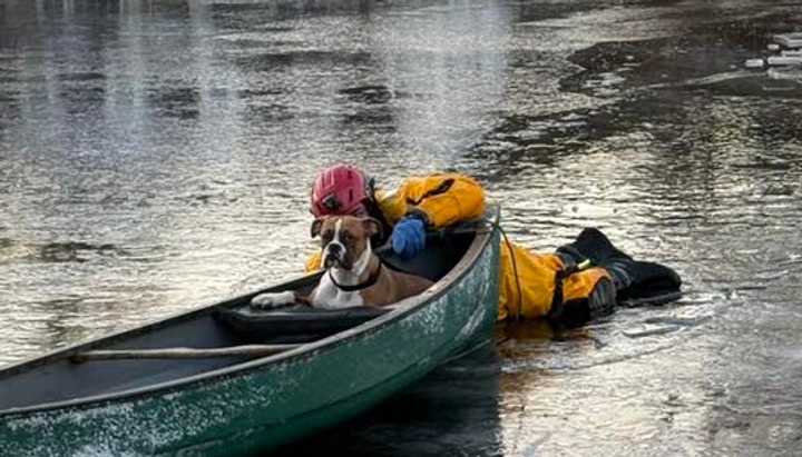 A firefighter pushes a dog back to shore in a canoe.