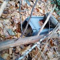 Cat Freezes To Death Locked In Crate At Bristol Park; Group Offers $5K Reward For Info