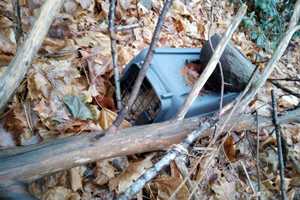 Cat Freezes To Death Locked In Crate At Bristol Park; Group Offers $5K Reward For Info