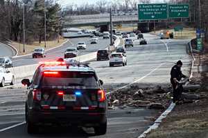 Fallen Tree Shuts All Lanes On Route 17, Sends 1 Person To Hospital (PHOTOS)