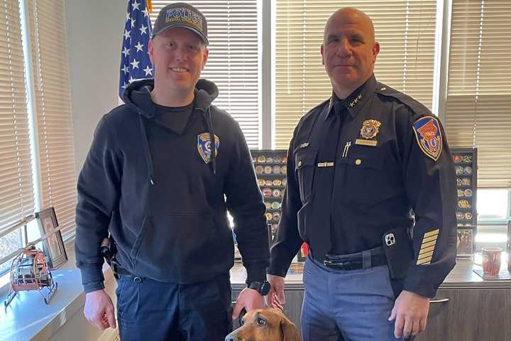 Westchester K9 Hangs Up Her Leash After Sniffing Out Justice For Decade