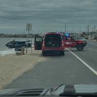 Stranded Fox Spurs Dangerous Rescue Attempts, NJ Officials Plead With Public To Stay Back