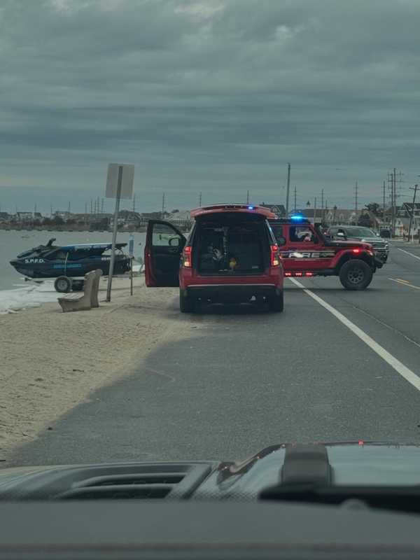 Stranded Barnegat Bay Fox Spurs Dangerous Rescue Attempts, Officials Urge Public To Stay Back