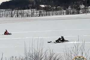 Snowmobilers Who Tormented Red Fox Turn Themselves In: PA Game Commission