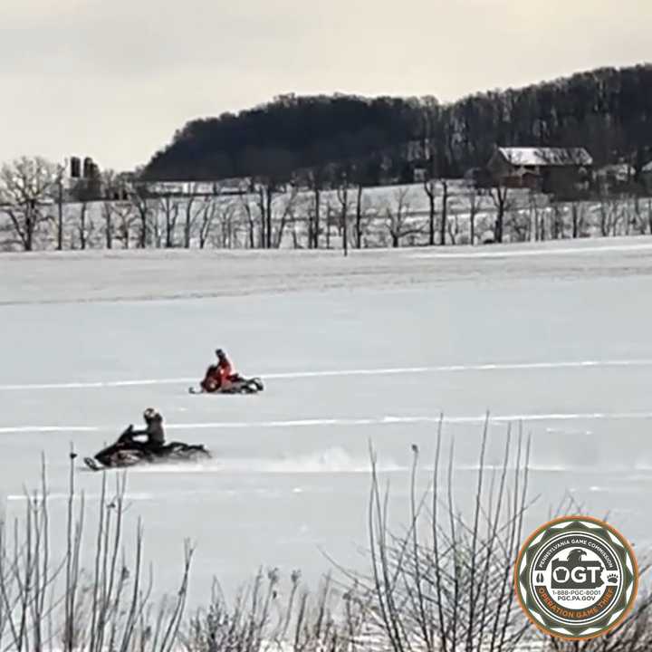 Red Fox Harassed By Lebanon County Snowmobilers Leads To Charges: DA ...