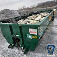 Shocking Photos Show Thousands Of Dead Snow Geese Piled In PA Dumpster Amid Avian Flu Crisis