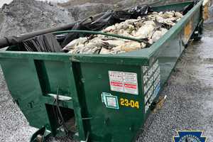 Shocking Photos Show Thousands Of Dead Snow Geese Piled In PA Dumpster Amid Avian Flu Crisis