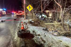 Vehicle Slams Into Trees In Hartsdale, Driver Hospitalized