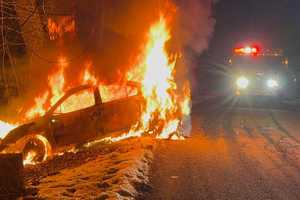 Car Slams Into Tree, Bursts Into Flames In Hudson Valley