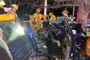 NEW PHOTOS: Driver Extricated After Car Slams Tree On Route 4 In Paramus, Police Say