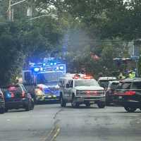 Tree Branch Crushes Pedestrians, Smashes Tesla Roof In Teaneck: Police