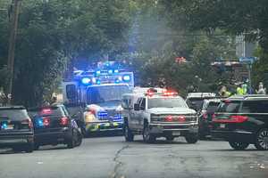Tree Branch Crushes Pedestrians, Smashes Tesla Roof In Teaneck: Police