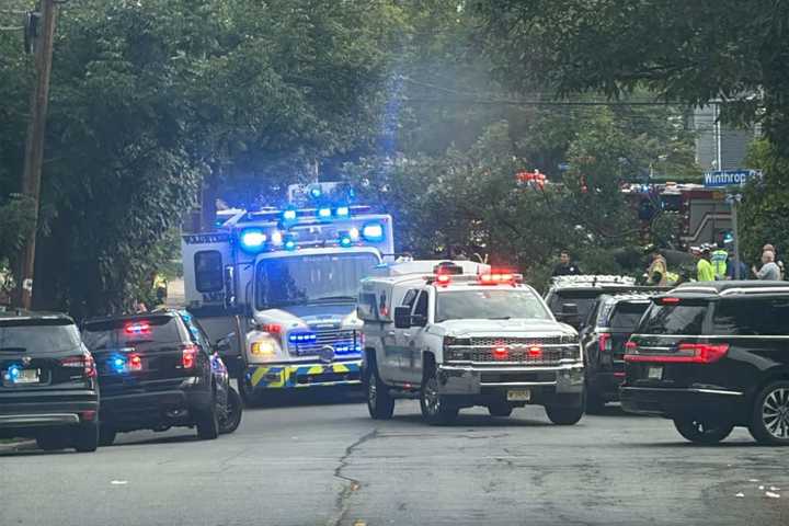 Tree Branch Crushes Pedestrians, Smashes Tesla Roof In Teaneck: Police