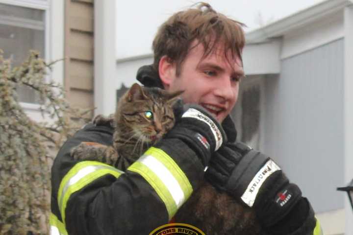 Firefighters Rescue Five Cats From Toms River Mobile Home Fire