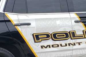 Woman Struck, Killed In Crosswalk Near Mount Olive Park: Cops