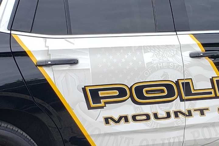 Woman Struck, Killed In Crosswalk Near Mount Olive Park: Cops