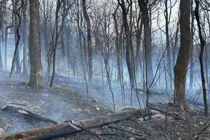 Wind-Driven Wildfire Scorches 20 Acres In Northern Maryland Before Being Contained (VIDEO)