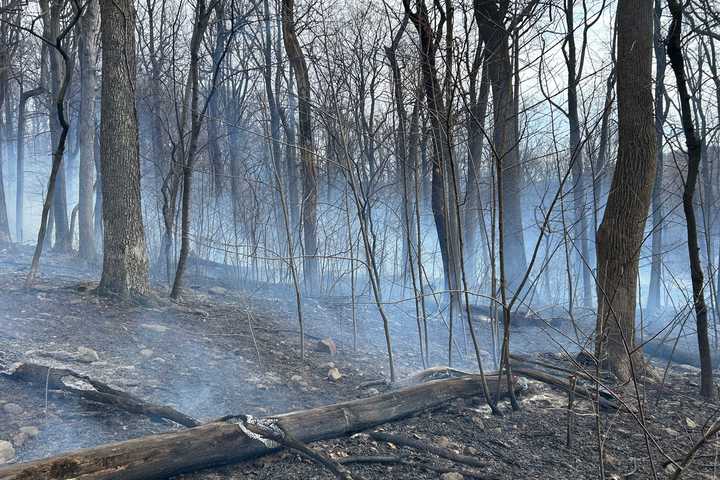 Wind-Driven Wildfire Scorches 20 Acres In Northern Maryland Before Being Contained (VIDEO)