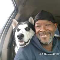 NJ Man Beat Husky With Saw Blade After It Got Loose From Car In Disturbing Public Scene: Cops