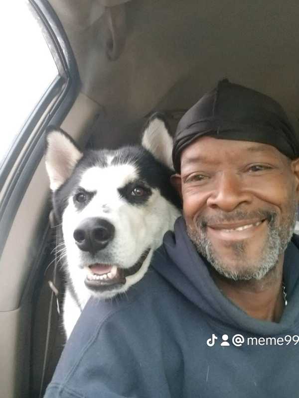 NJ Man Beat Husky With Saw Blade After It Got Loose From Car In Disturbing Public Scene: Cops