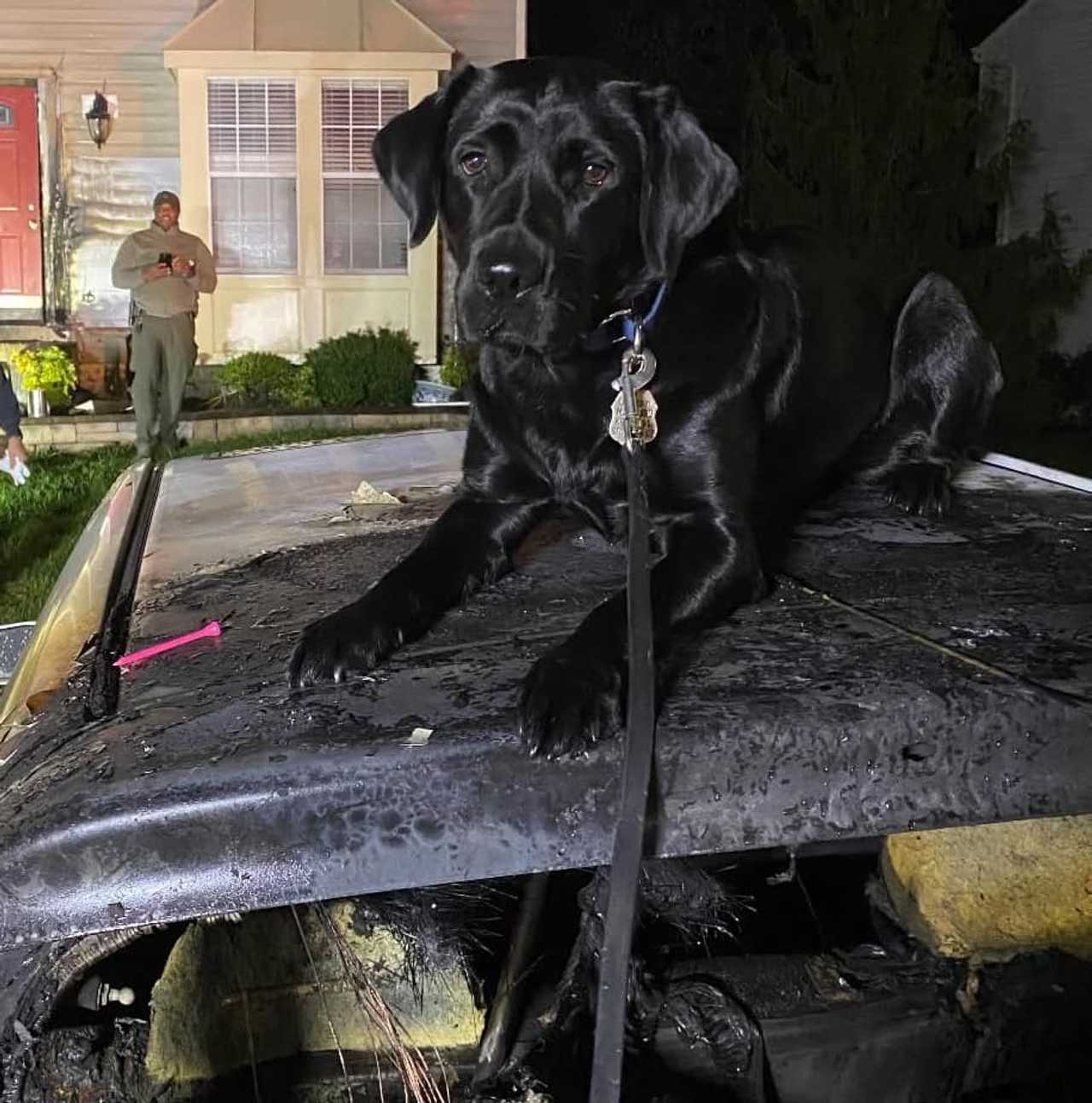 The aftermath of the fire in Anne Arundel County